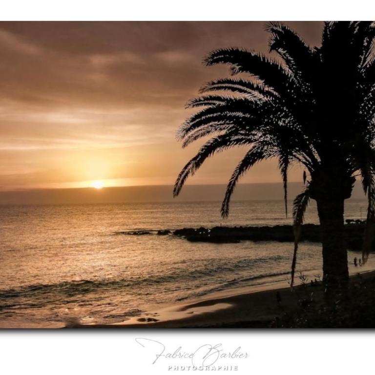 Agua Viva Beach - Apartamento de 1 dormitorio - 54
