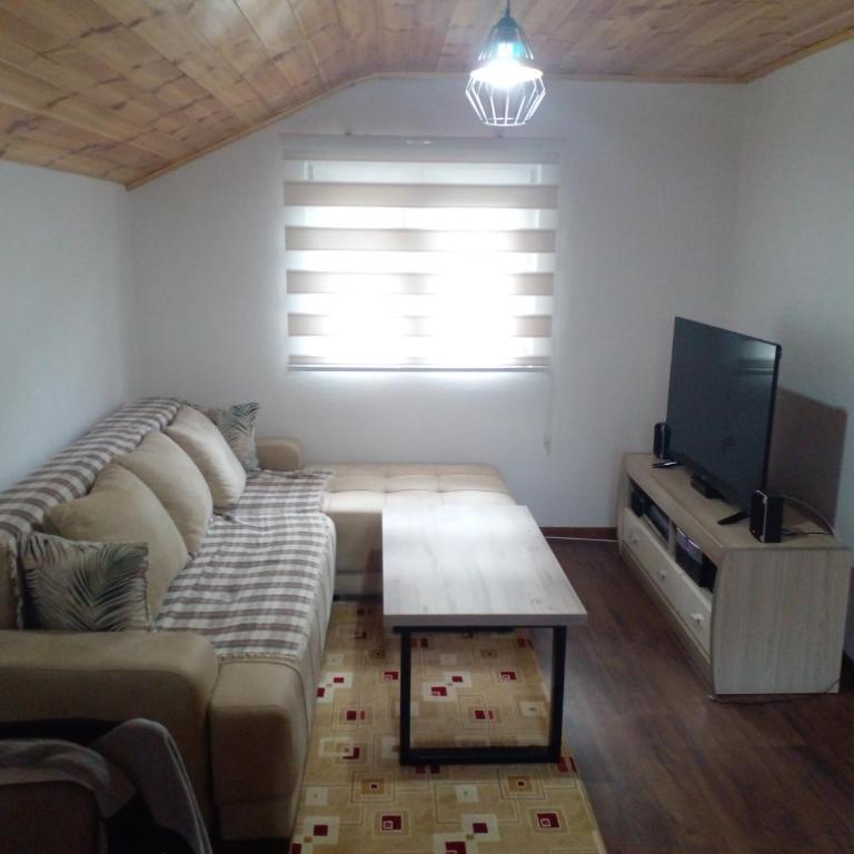 Apartman Branko - Apartman sa 2 Spavaće Sobe - 1