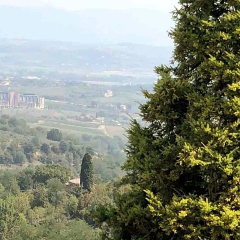 Casa Graziella - appartamento con parcheggio privato - Appartamento - 29