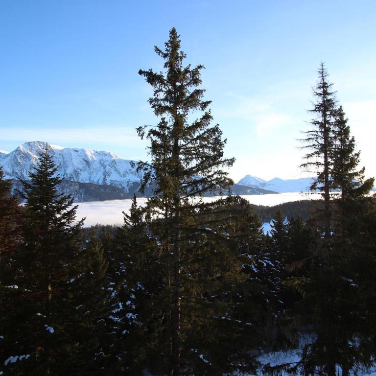 Appartement tout confort, proche des pistes et ESF - FR-1-549-119 - Appartement - 10