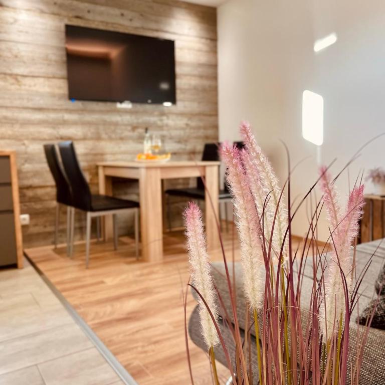 Appartement FELIX - Apartment mit Terrasse - 1