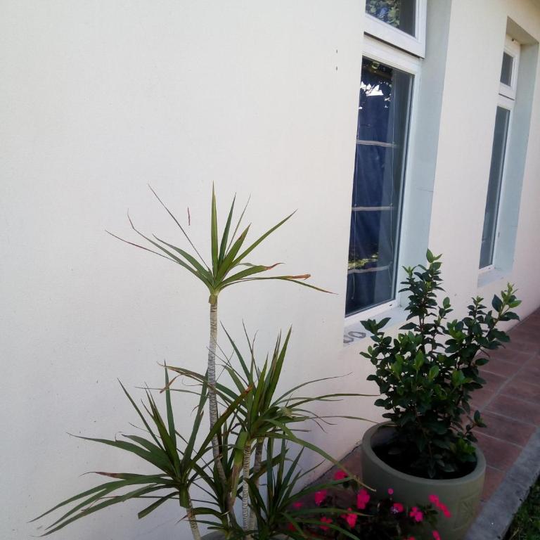 El Zohar 2 pax - Apartamento de 1 dormitorio - 22