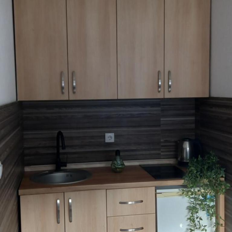 VILA JAHORINSKI RAJ A3 - Apartman sa 1 Spavaćom Sobom - 4