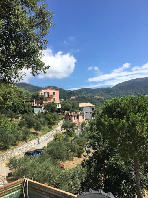 azienda agricola zulin casa elena - Casa con 3 Camere da Letto - 22