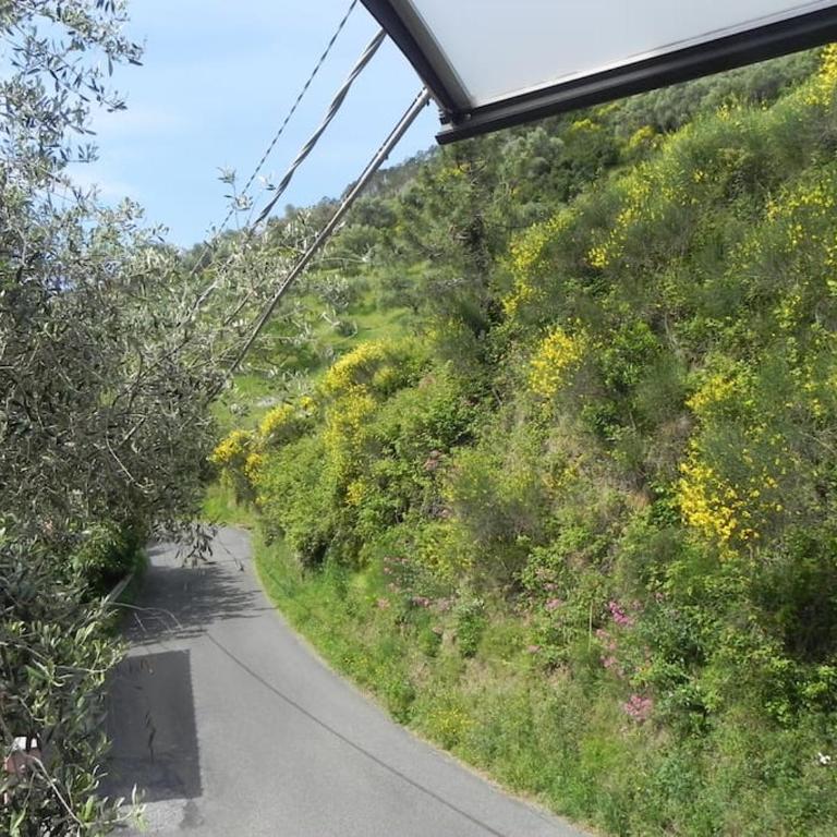 azienda agricola zulin casa elena - Casa con 3 Camere da Letto - 20
