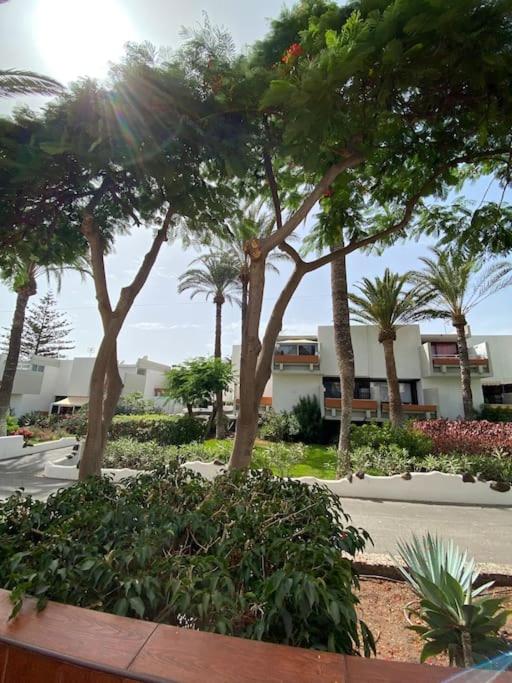 Apartamento Déniz Sur - TEN BEL - Apartamento de 2 dormitorios - 36