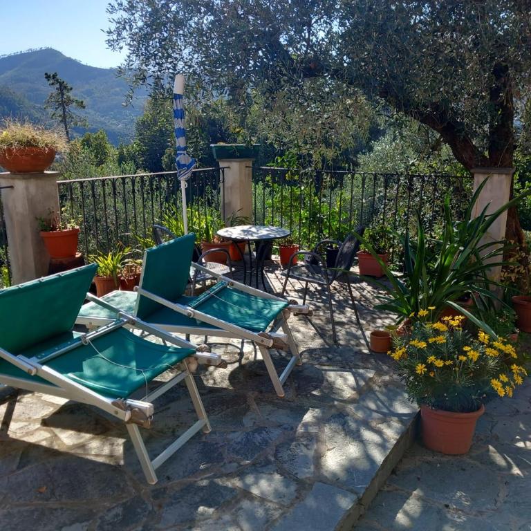 azienda agricola zulin casa elena - Casa Vacanze - 2