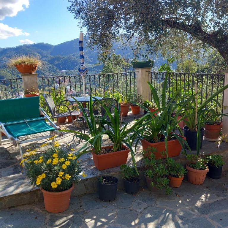 azienda agricola zulin casa elena - Casa Vacanze - 3