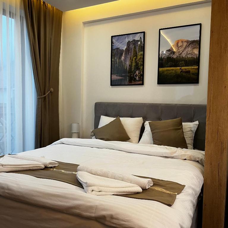 President Kop - Silver Ice Apartment - One-Bedroom Apartment - 23