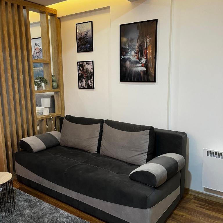 President Kop - Silver Ice Apartment - One-Bedroom Apartment - 20
