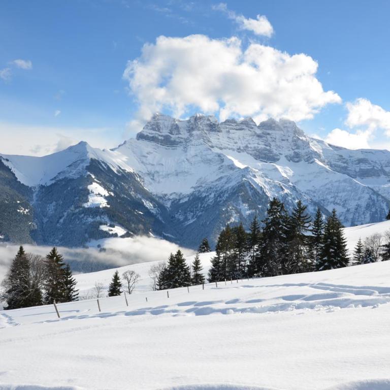 Le Chalet de l'Atelier - Le Nord - Camera Matrimoniale/Doppia con Letti Singoli con Vista Montagna 1 - 4