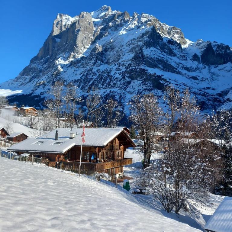 Chalet Pfyffer - Mountain view - Appartamento con 1 Camera da Letto - 17