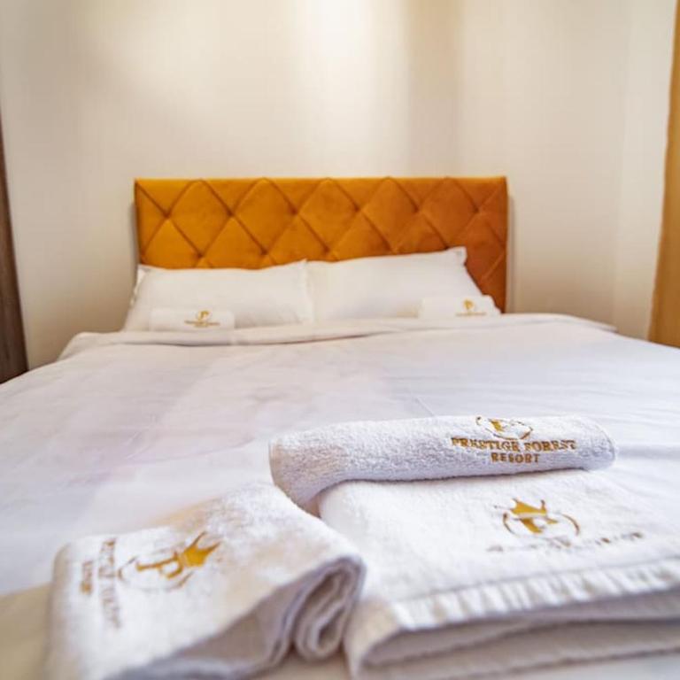 Viogor Apartmani Prestige Forest Zlatibor - One-Bedroom Apartment - 13