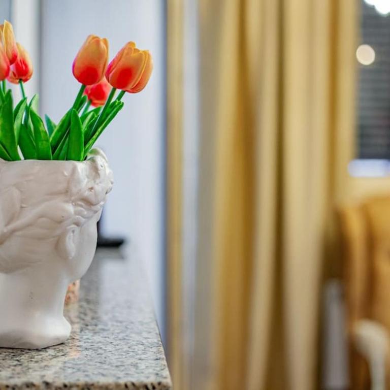Viogor Apartmani Prestige Forest Zlatibor - One-Bedroom Apartment - 21