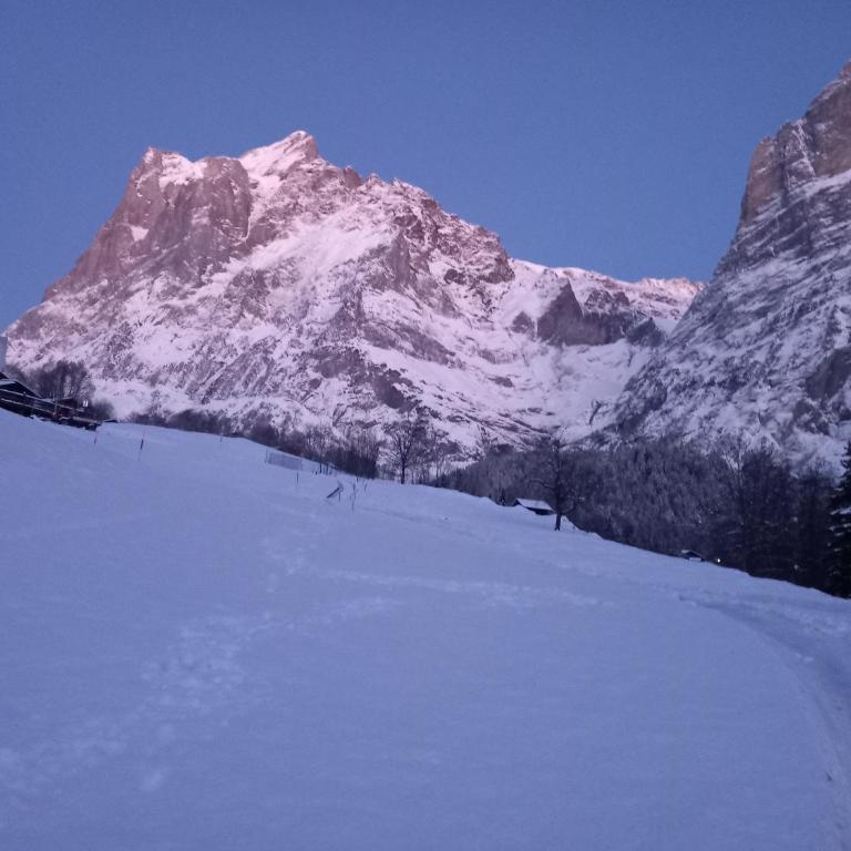 Chalet Pfyffer - Mountain view - Appartamento con 1 Camera da Letto - 18