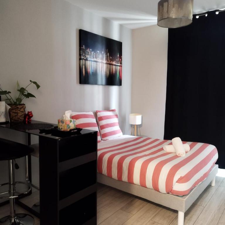 Pau hypercentre Studio - Appartement 1 Chambre - 1