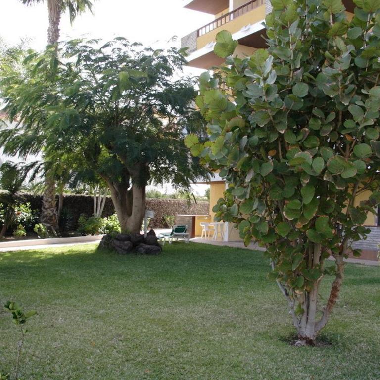 Apartamentos Los Tilos - Apartamento de 1 dormitorio - 19