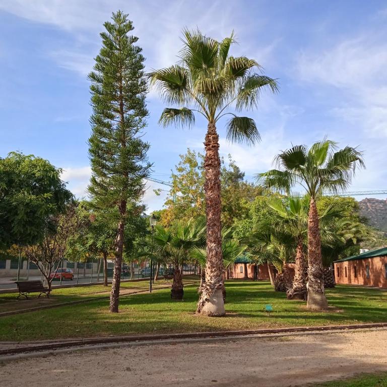 Residencial Los Flamencos - Two-Bedroom Apartment - 39