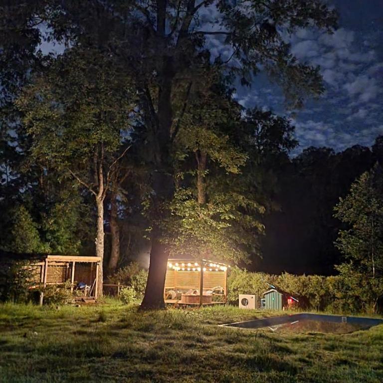 La Casa del Árbol Villarrica Cabañas-Piscina-Tinajas - Casa de 2 dormitorios - 49