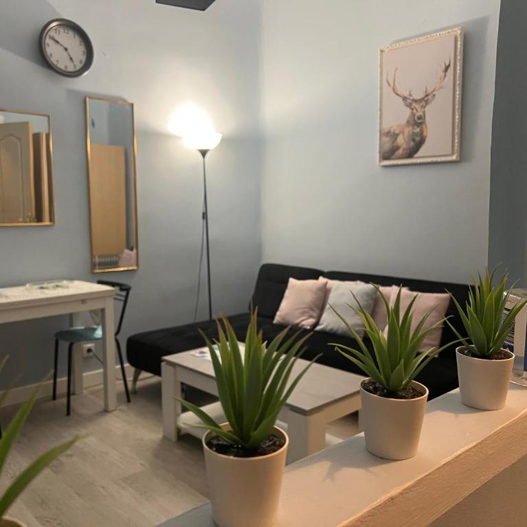 Retiro Atocha Paseo Del Prado , Madrid - Two-Bedroom Apartment - 92