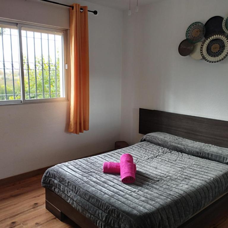 VIVIENDA RURAL HUERTA DEl MEDIO - Four-Bedroom House - 54