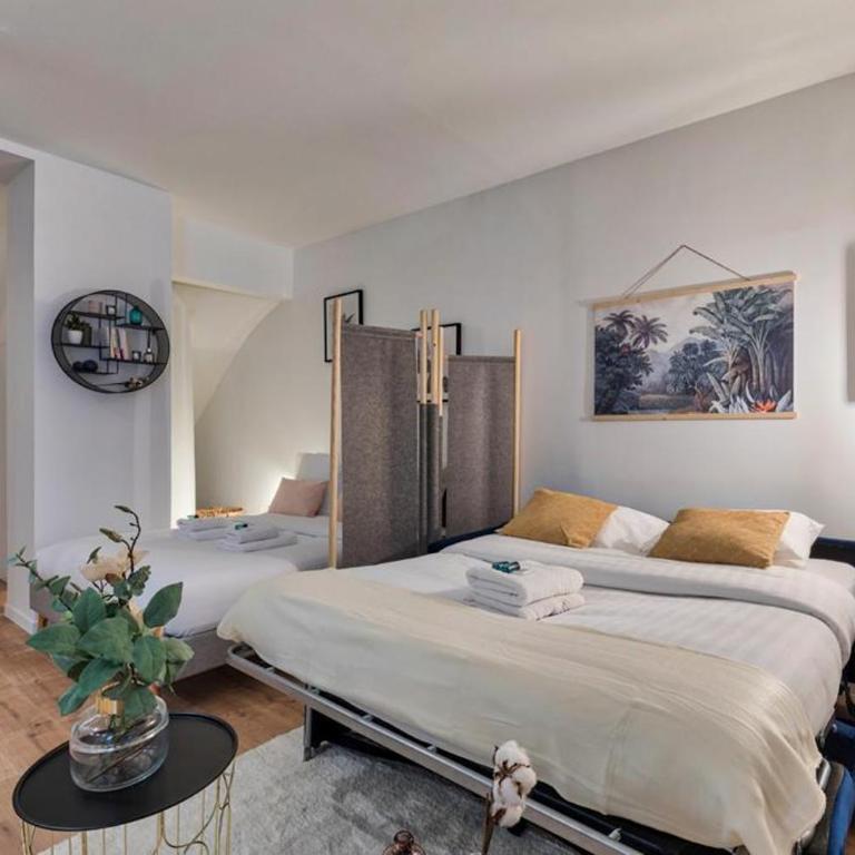 Grand Studio au Cœur de Paris quartier Latin - Appartement 1 Chambre - 6