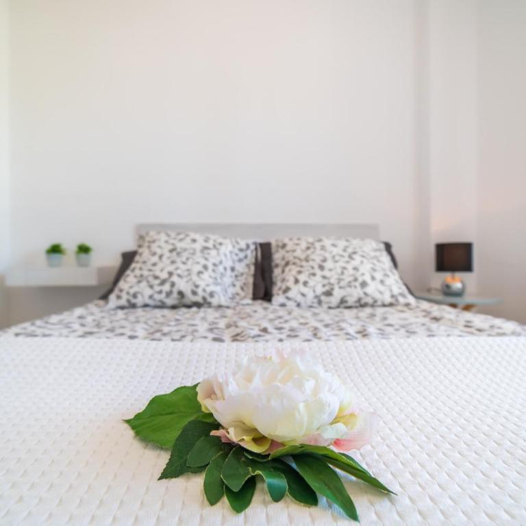 Ideal Property Mallorca - Maritimo - Apartamento con vistas al mar - 12
