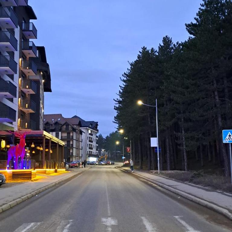 A&F Zlatiborski apartman - Apartman sa 1 Spavaćom Sobom - 44