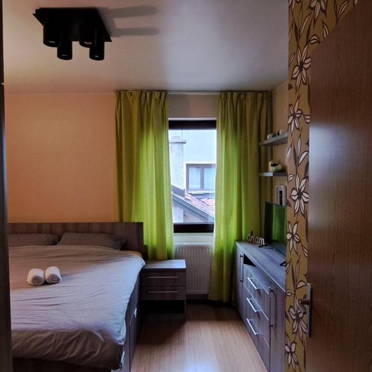 A&F Zlatiborski apartman - Apartman sa 1 Spavaćom Sobom - 11