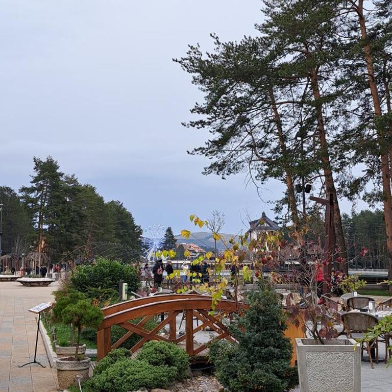A&F Zlatiborski apartman - Apartman sa 1 Spavaćom Sobom - 41