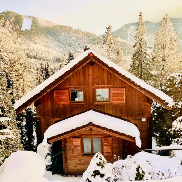 Blockhaus Semmering - Apartment mit 3 Schlafzimmern - 1
