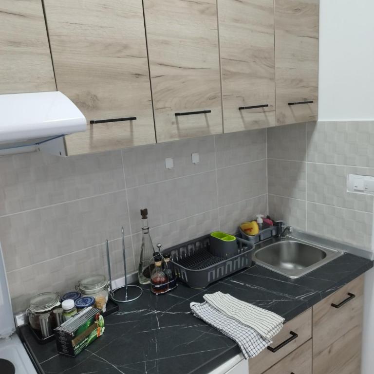 Apartman Anastasija Divcibare - Studio - 2