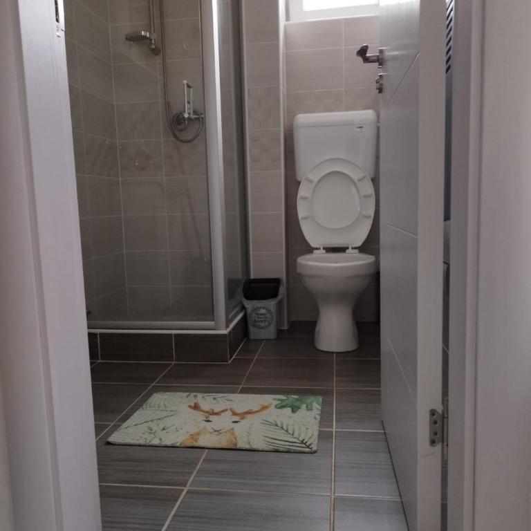 Apartman Anastasija Divcibare - Studio - 12