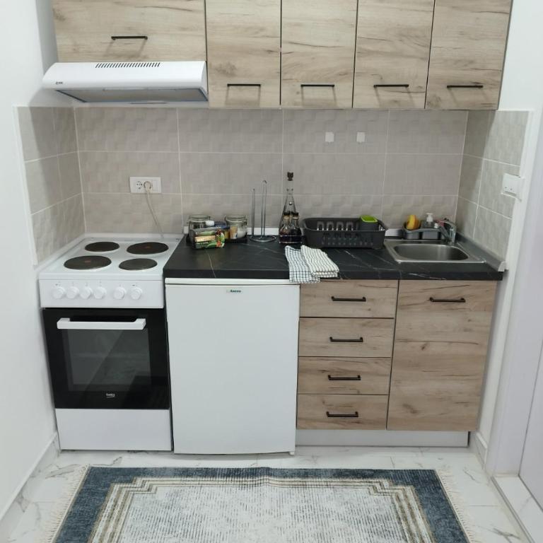 Apartman Anastasija Divcibare - Studio - 8