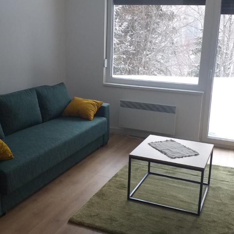Apartmani Šišarka - Apartman sa 1 Spavaćom Sobom - 5