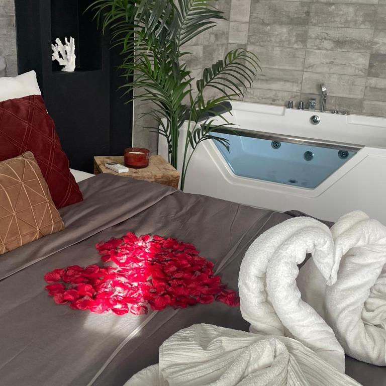 Superbe appartement avec balnéo. - Appartamento con 1 Camera da Letto - 1
