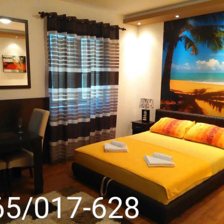 Apartments Leo - Studio Apartman sa Terasom - 1