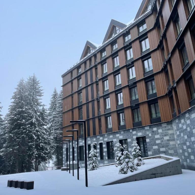 Kopaonik Woodside - Apartman sa Pogledom na Planinu - 7