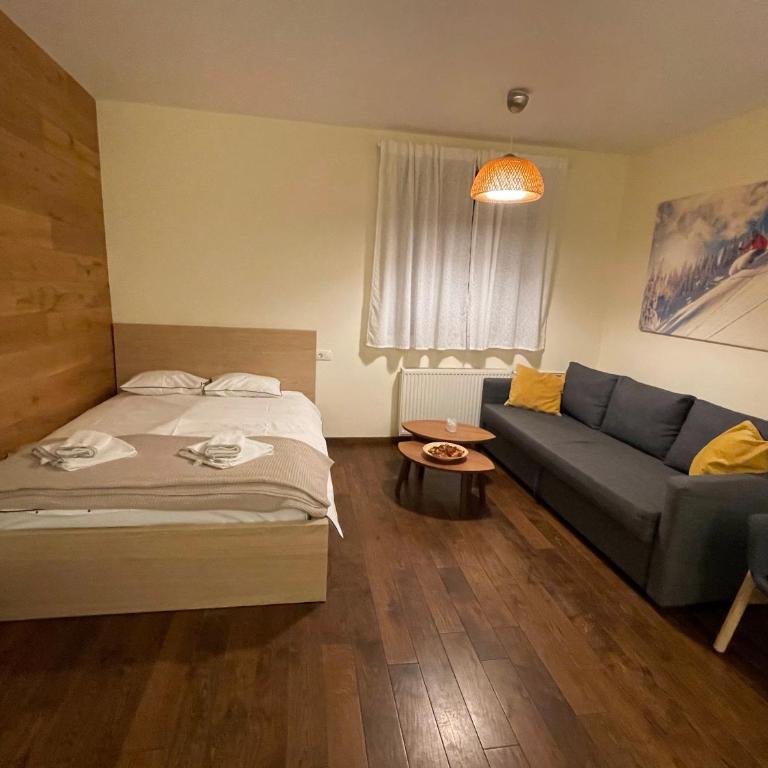 Apartment East - Forest apartmani Kopaonik - Studio - 9