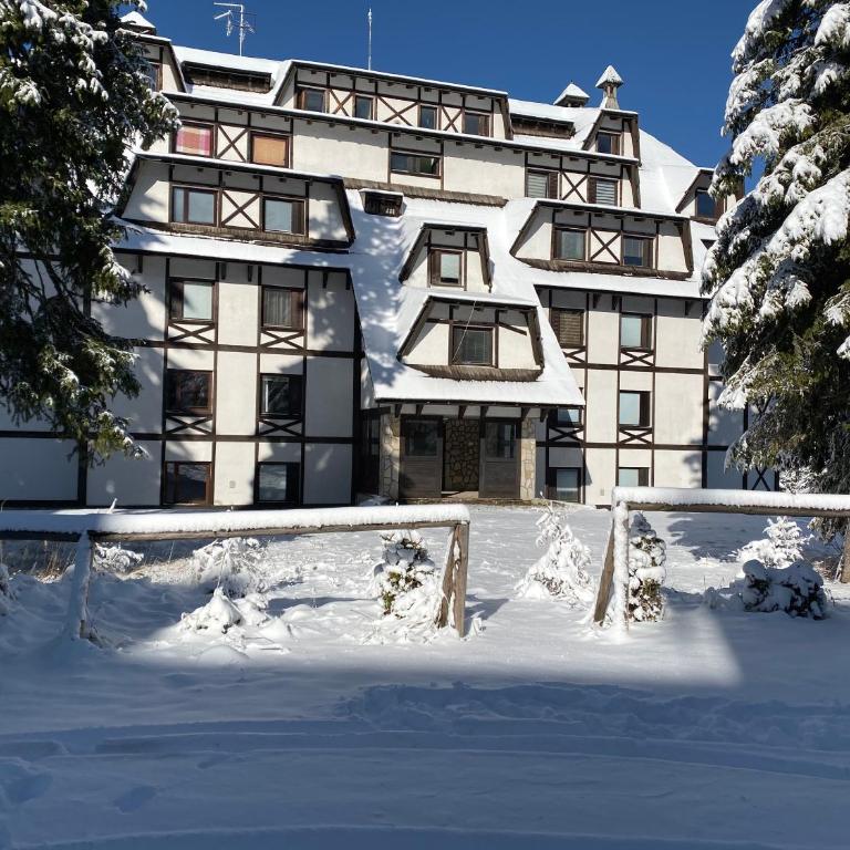 Apartment East - Forest apartmani Kopaonik - Studio - 11