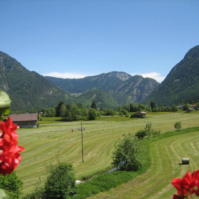 Appartement Weissbacher - Big Two-Bedroom Apartment with Balcony and Mountain View - 4