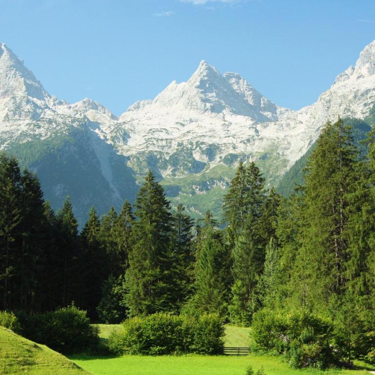 Appartement Weissbacher - Big Two-Bedroom Apartment with Balcony and Mountain View - 30