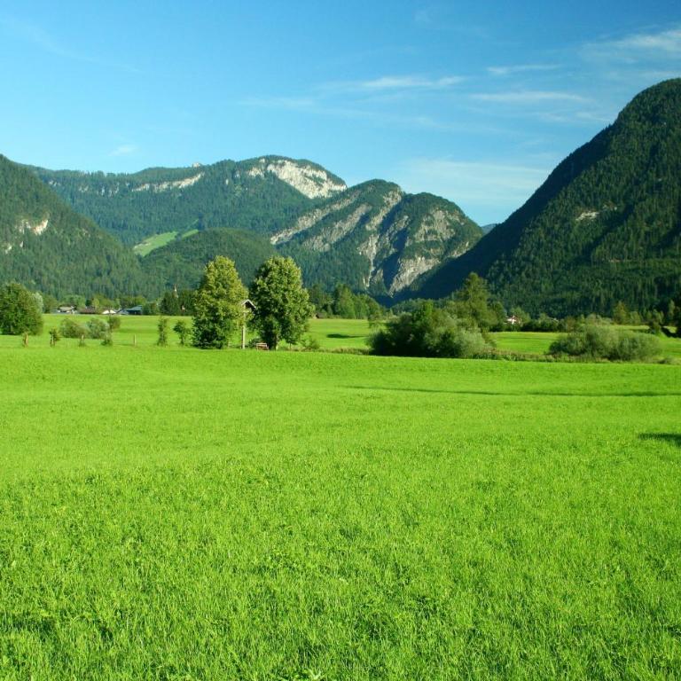 Appartement Weissbacher - Big Two-Bedroom Apartment with Balcony and Mountain View - 8