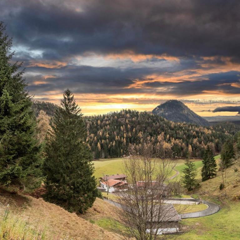 ChaletWK - Luxury old wood mountain chalet in a sunny secluded location with gym, sauna & whirlpool - Villa Deluxe - 34