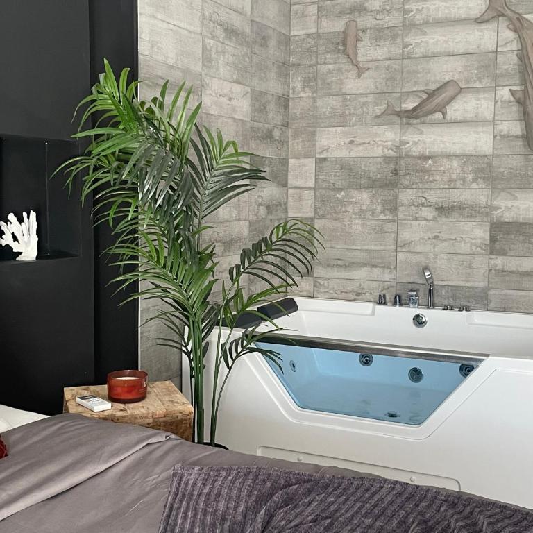 Superbe appartement avec balnéo. - Appartamento con 1 Camera da Letto - 6