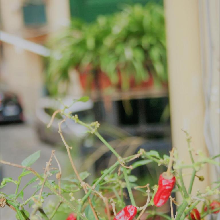 Casa Maria - Appartamento con 1 Camera da Letto - 10