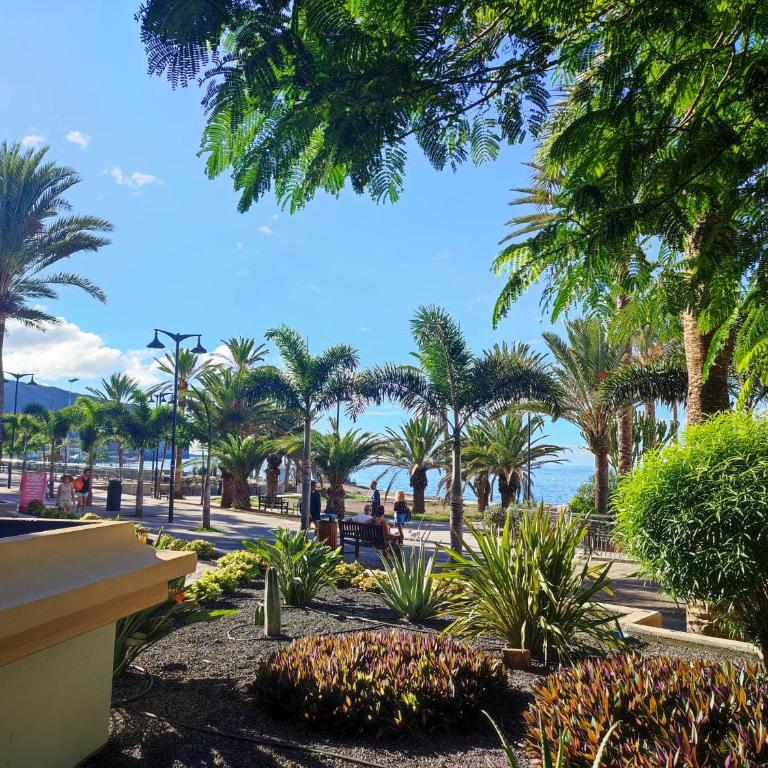 Guayero, Bel appartement à 50m de la mer - Apartamento de 1 dormitorio - 36