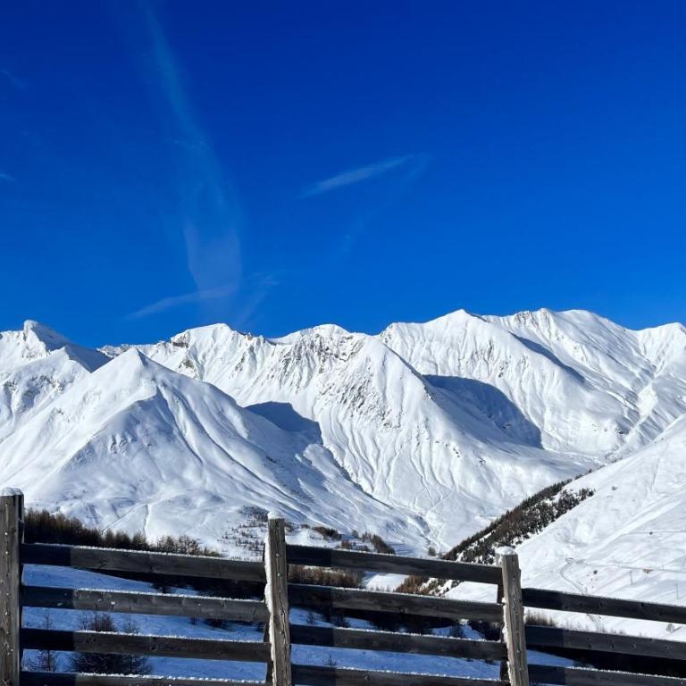 Appartement La Foux d Allos au pied des pistes - Appartamento con 1 Camera da Letto - 19