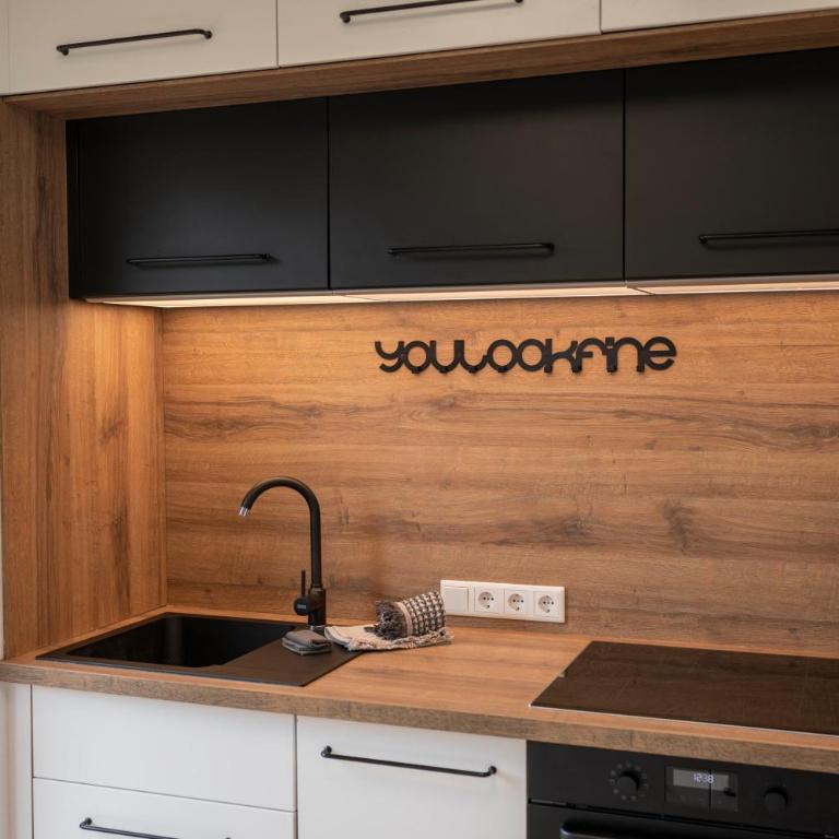 JARA APARTMENT- Ramsau am Dachstein - One-Bedroom Apartment - 90