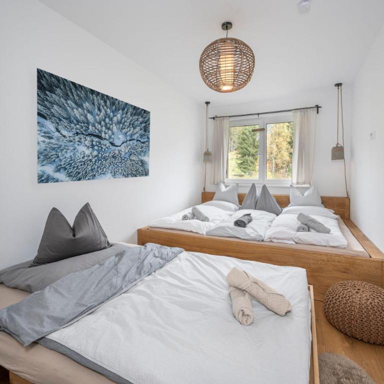JARA APARTMENT- Ramsau am Dachstein - One-Bedroom Apartment - 10